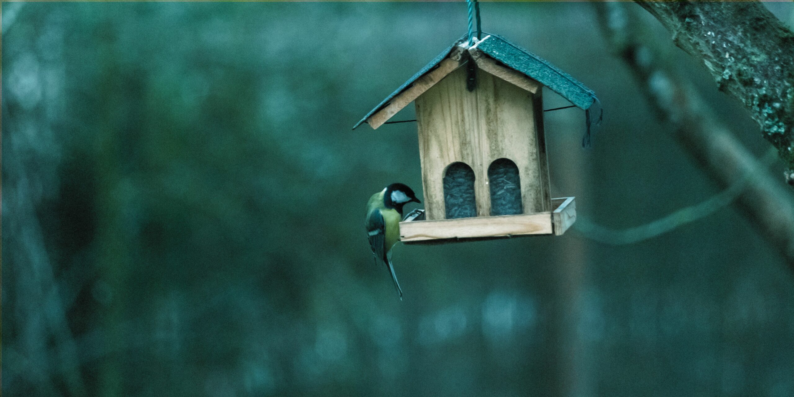 Equilibrio